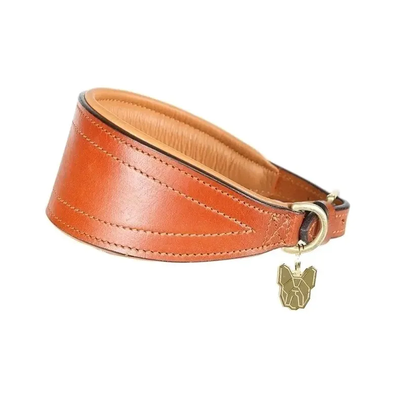 Digby and Fox Padded Greyhound Collar - Tan